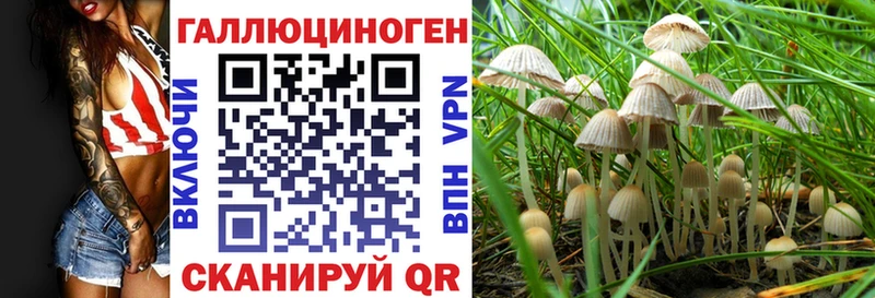 что такое наркотик  Хасавюрт  Галлюциногенные грибы Cubensis 